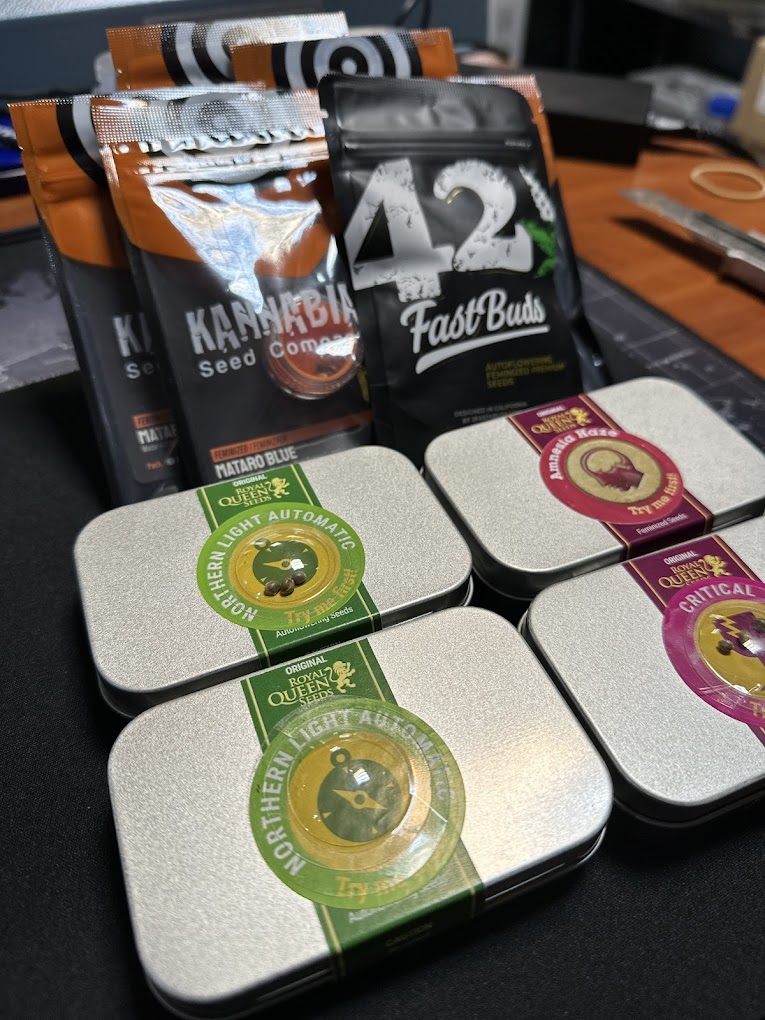 Royal Queen Seeds